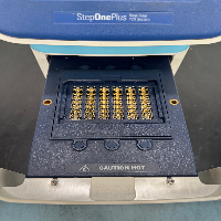 Applied Biosystems StepOnePlus Real-Time PCR System image 3